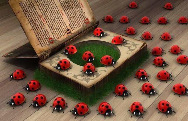 Ladybug - simbol pitulung ketuhanan, panyalindungan