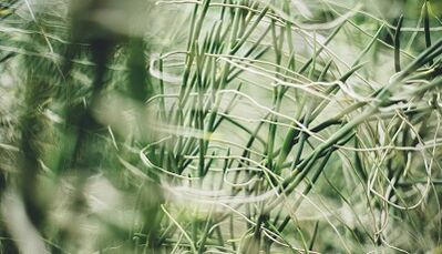 Kumaha carana ngadamel tuah anu saé sareng leungeun anjeun sorangan